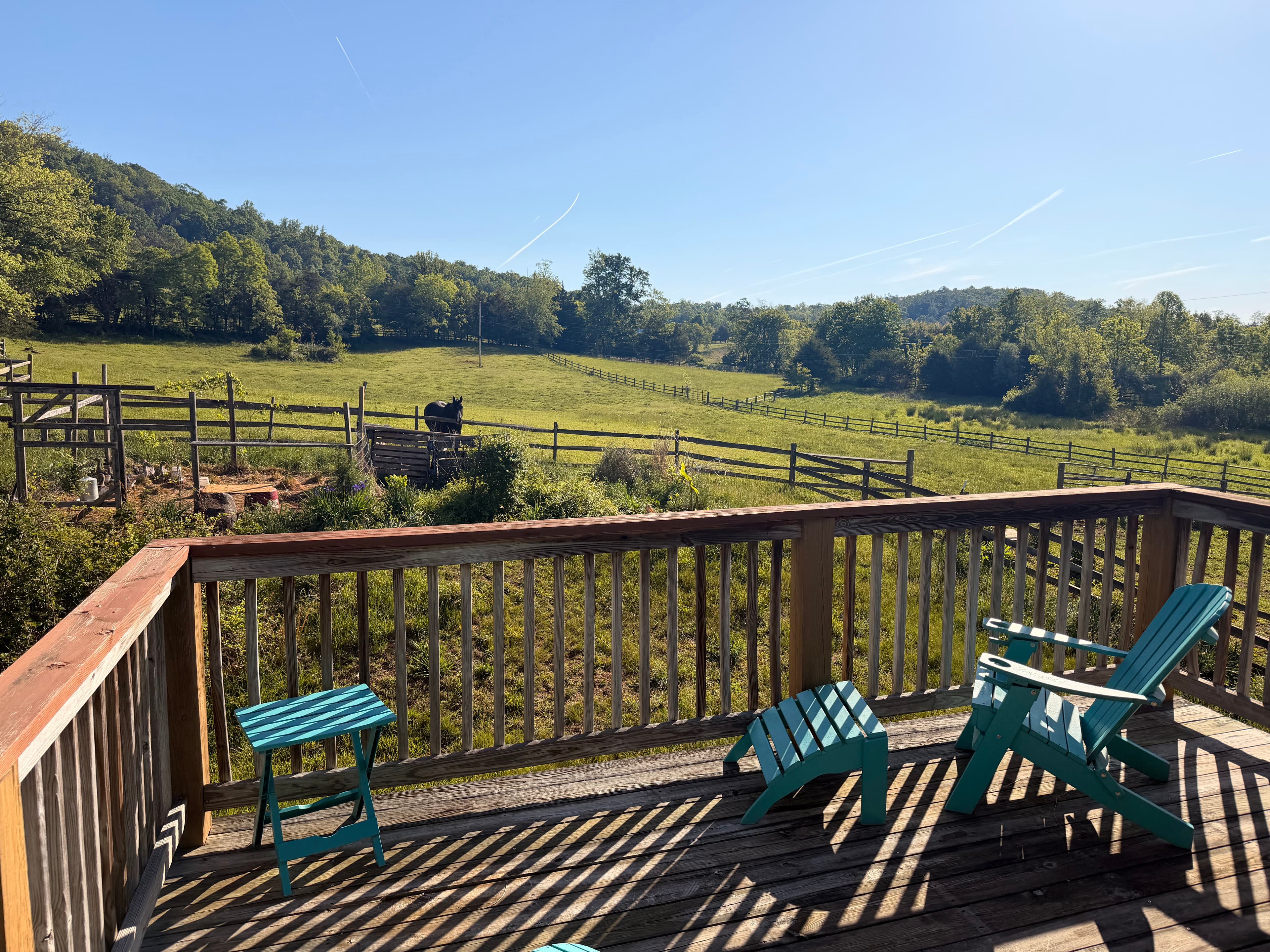 Airbnbs & Cottages